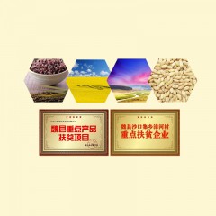 今粮道 面面俱到原味全麦粉 5KG JLD005