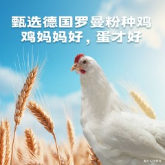 圣迪乐减胆固醇营养蛋30枚/盒 50g*30枚 6927978000396