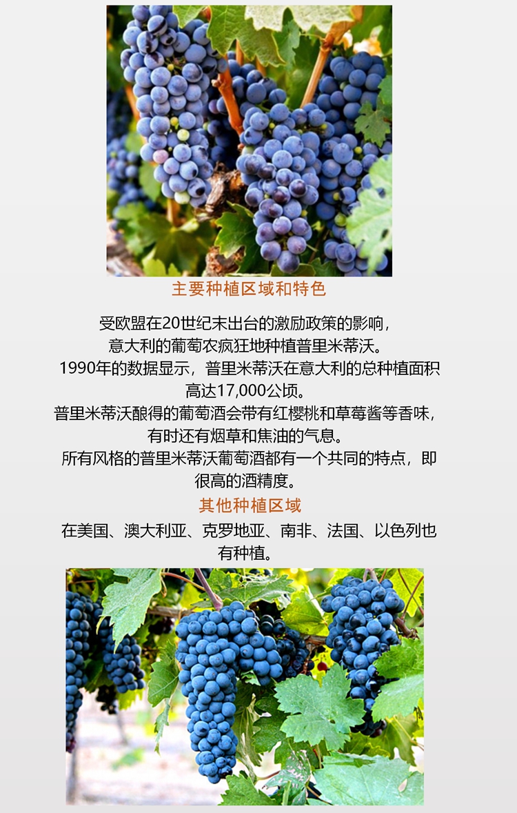 微信图片_20210206105552.jpg