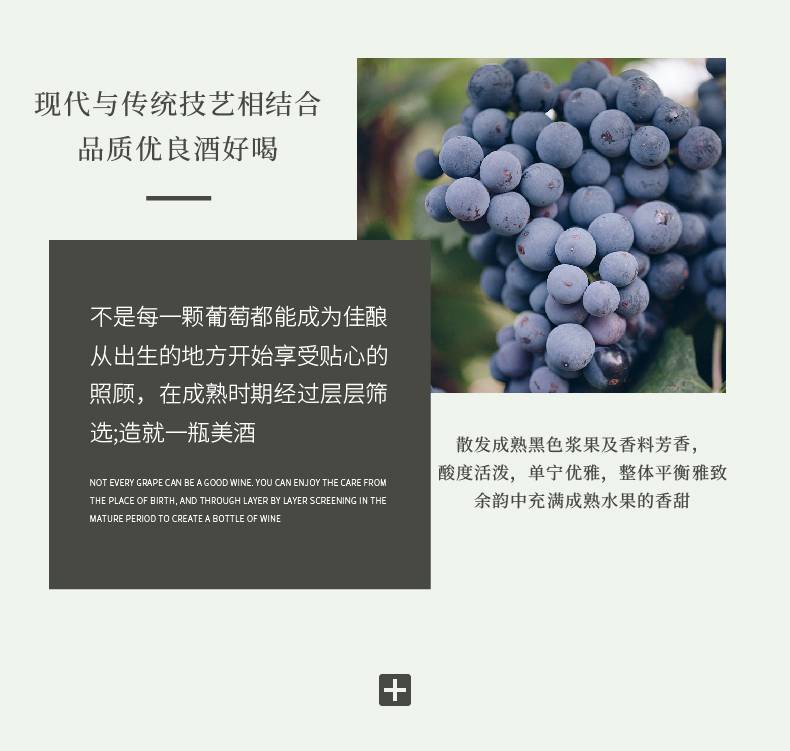 f22ada65-50c5-404c-a0f4-3601eeb89821.jpg