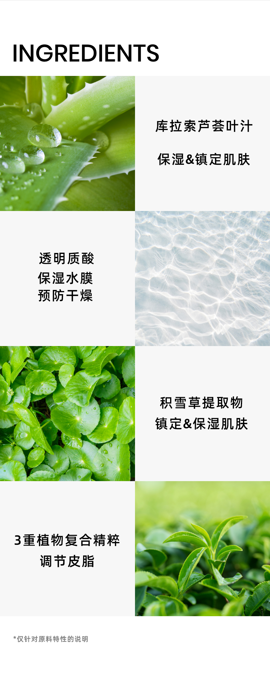 clear-covering-web-17.png