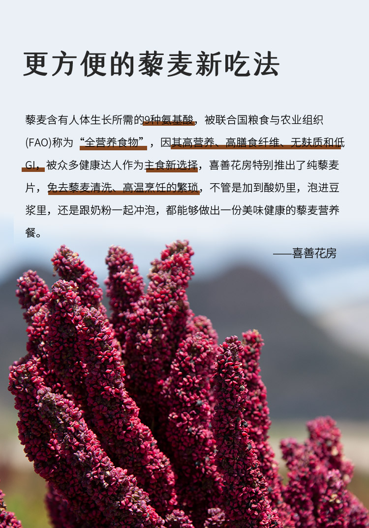 藜麦的正确吃法功效图片