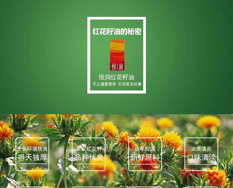 详情_03.jpg