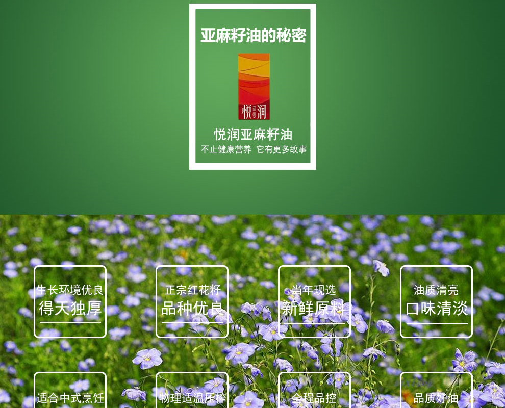 详情_02.jpg