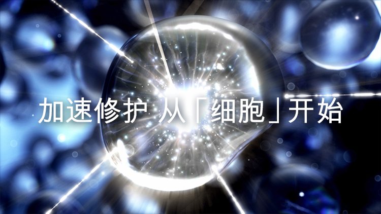 详情-11.jpg