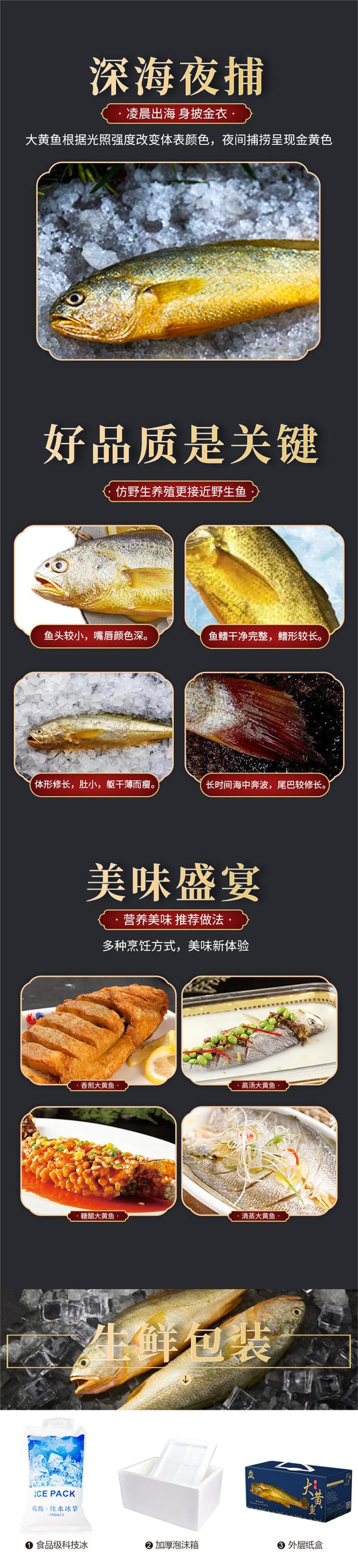 黄鱼详情页-通用(2).png