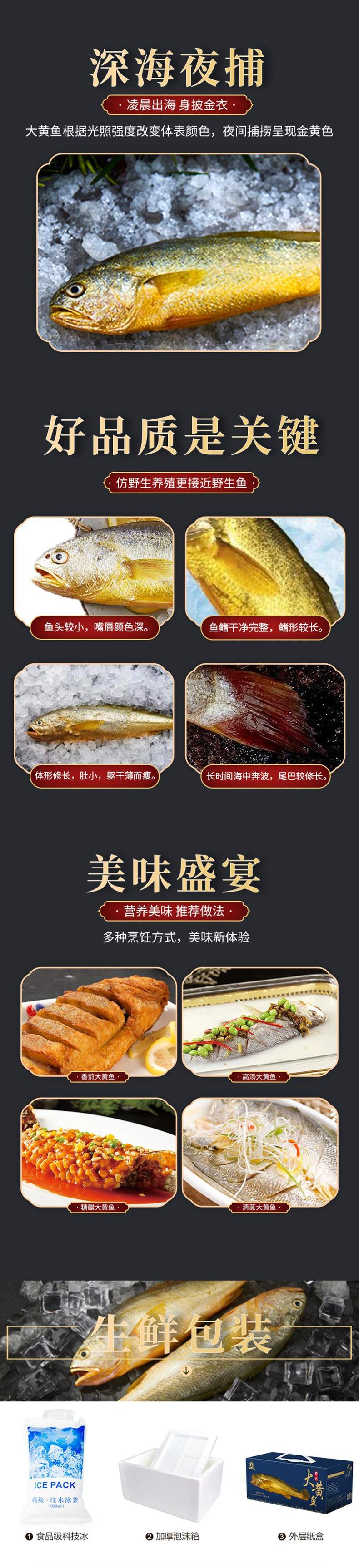 黄鱼详情页-通用(2).png