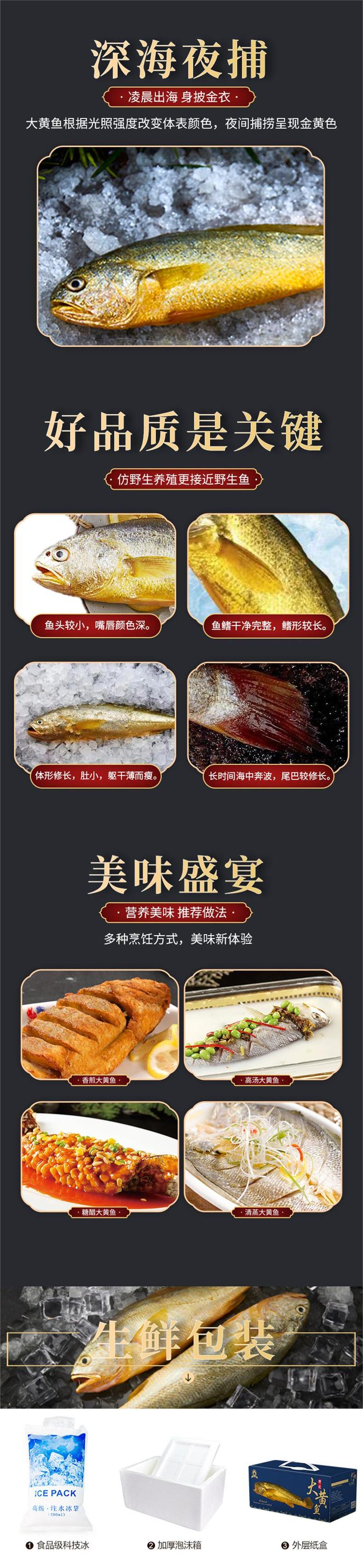 黄鱼详情页-通用(2).png