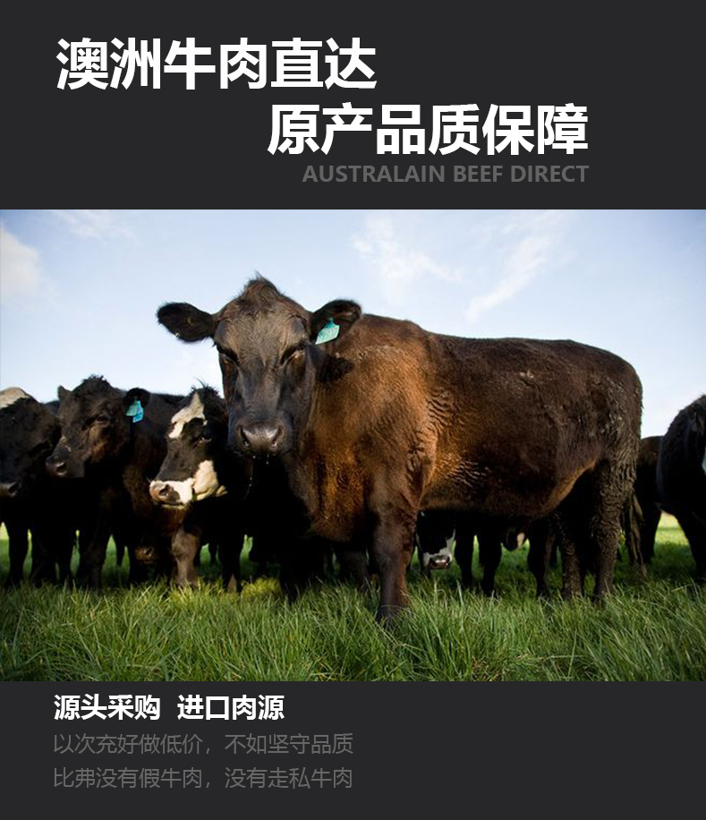 599详情图  (3).jpg