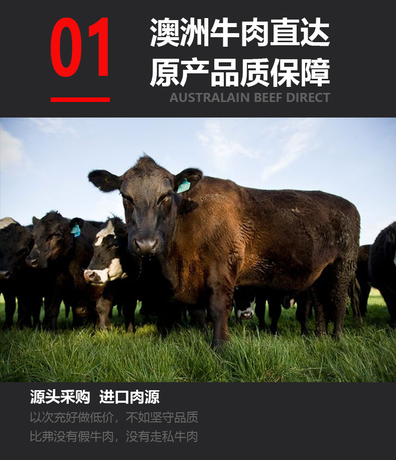 999详情图_04.jpg