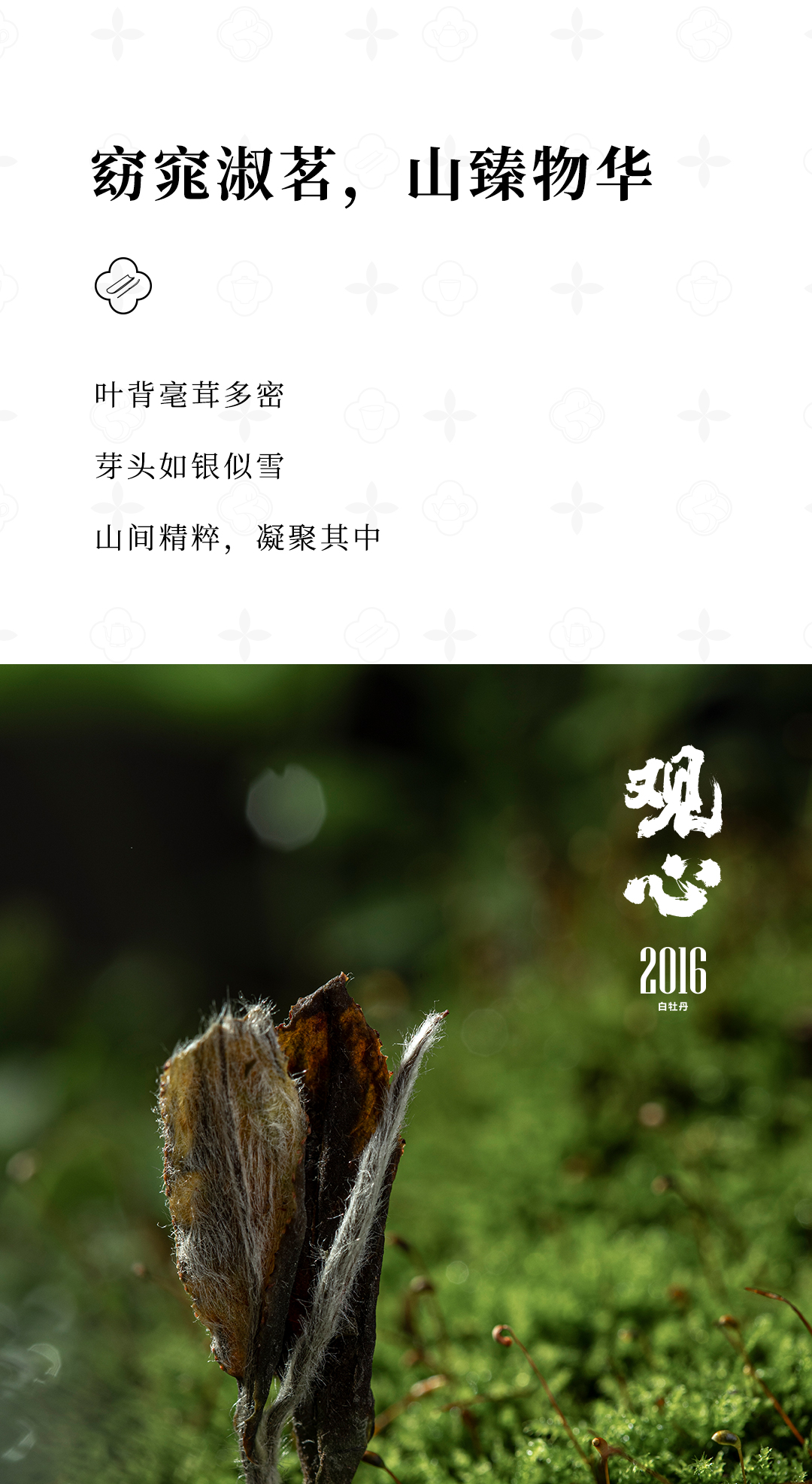 观心-2016白牡丹详情页_06.jpg