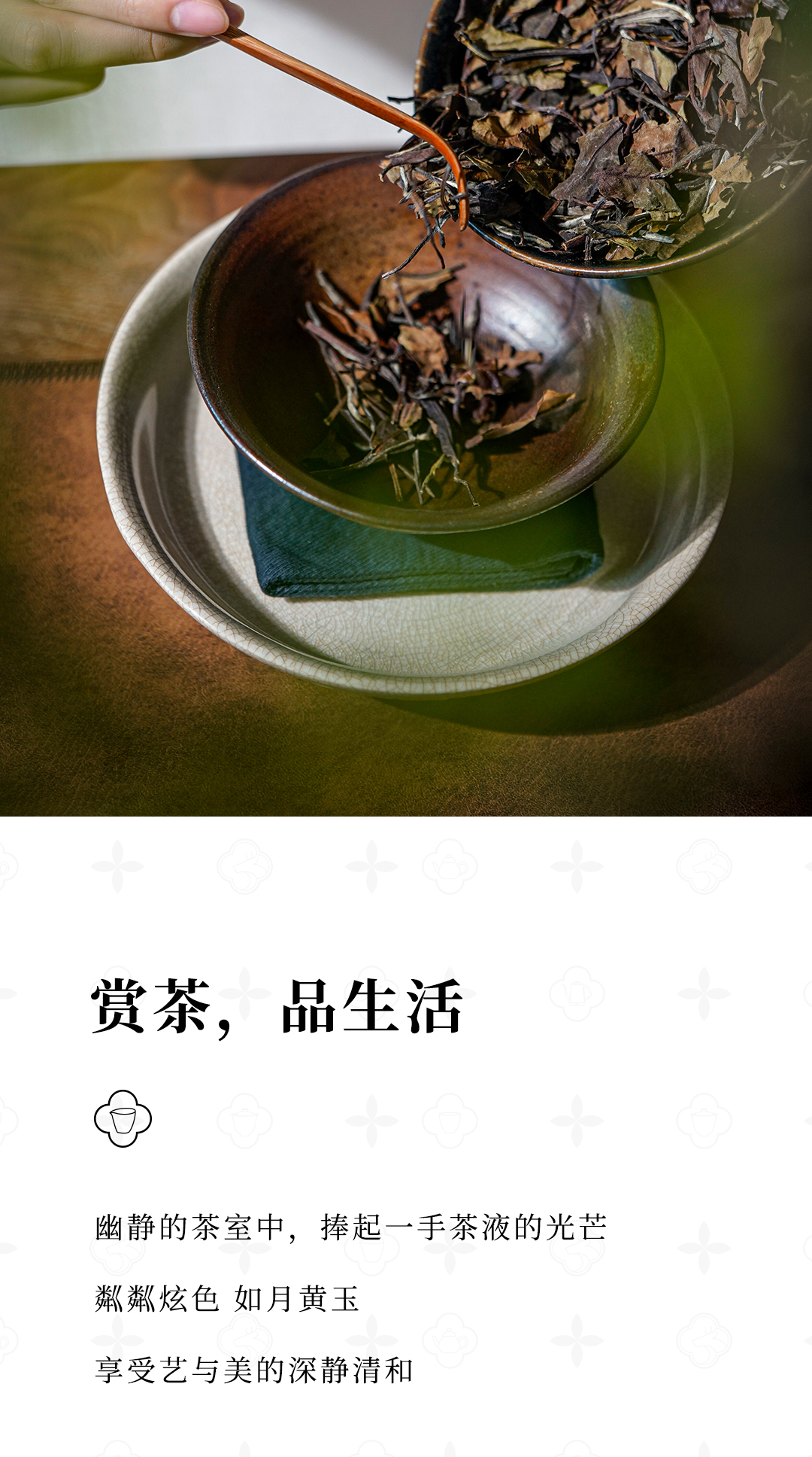 嘉木-2012寿眉_07.jpg