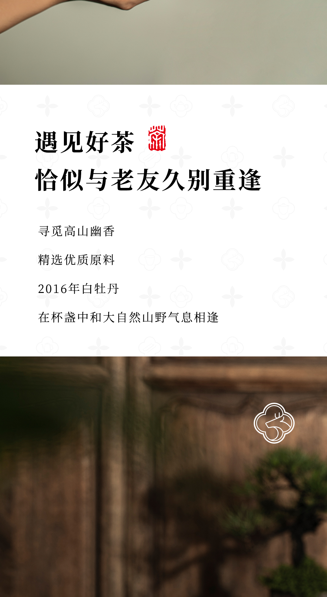 观心-2016白牡丹详情页_02.jpg