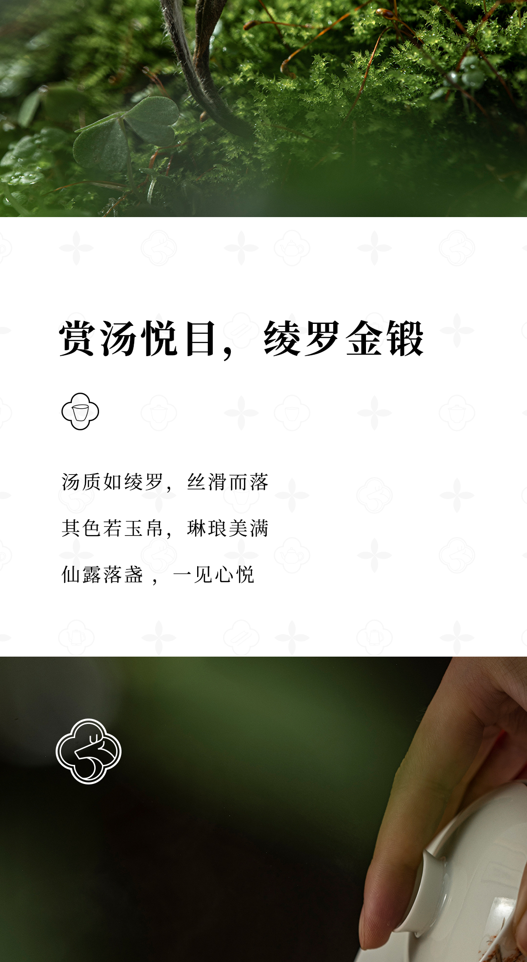 观心-2016白牡丹详情页_07.jpg