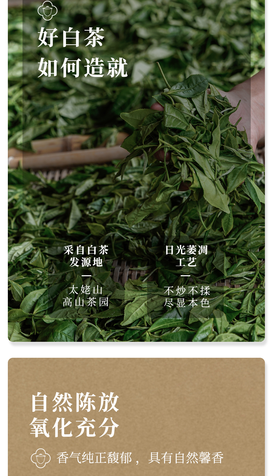 2016老陆茶舍详情页_10.jpg
