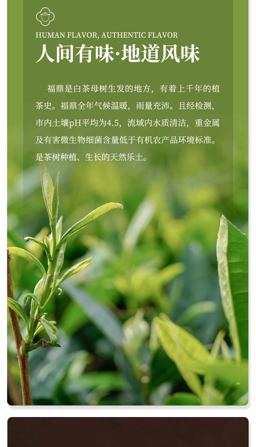 2016老陆茶舍详情页_04.jpg