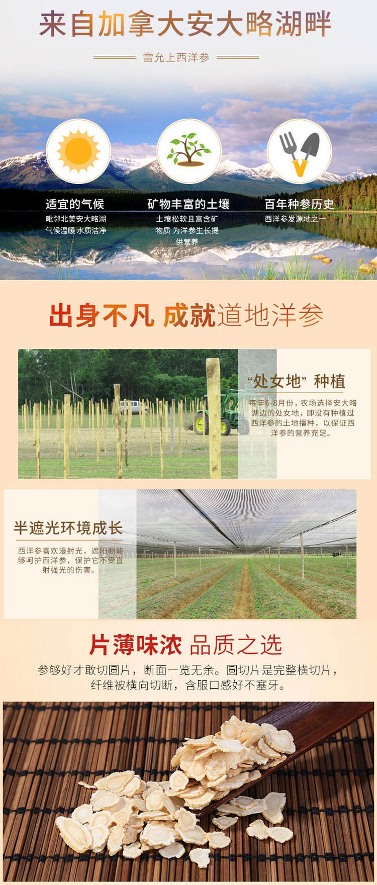 雷允上西洋参排片100g_02.jpg