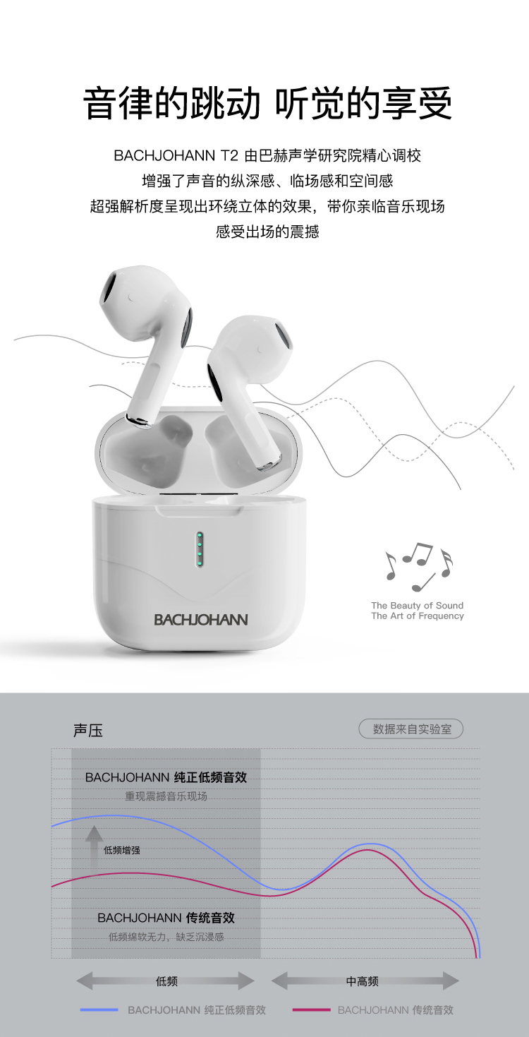T2新_04.jpg