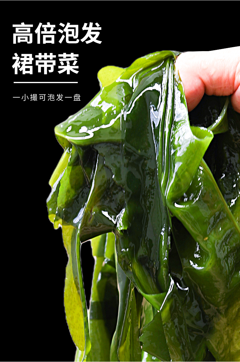 裙带菜1_05.jpg