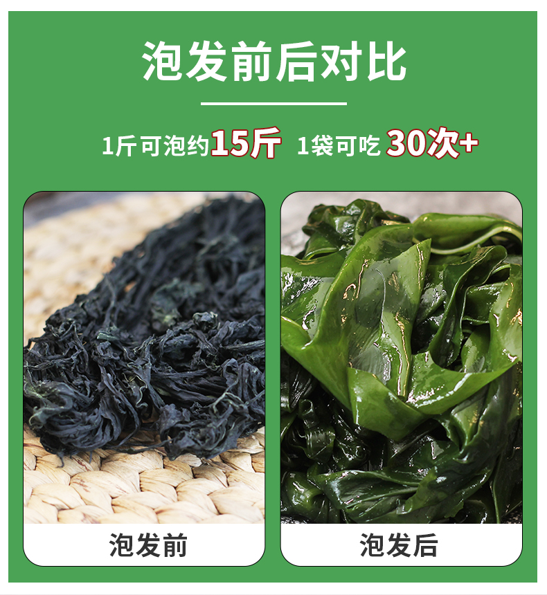 裙带菜1_06.jpg