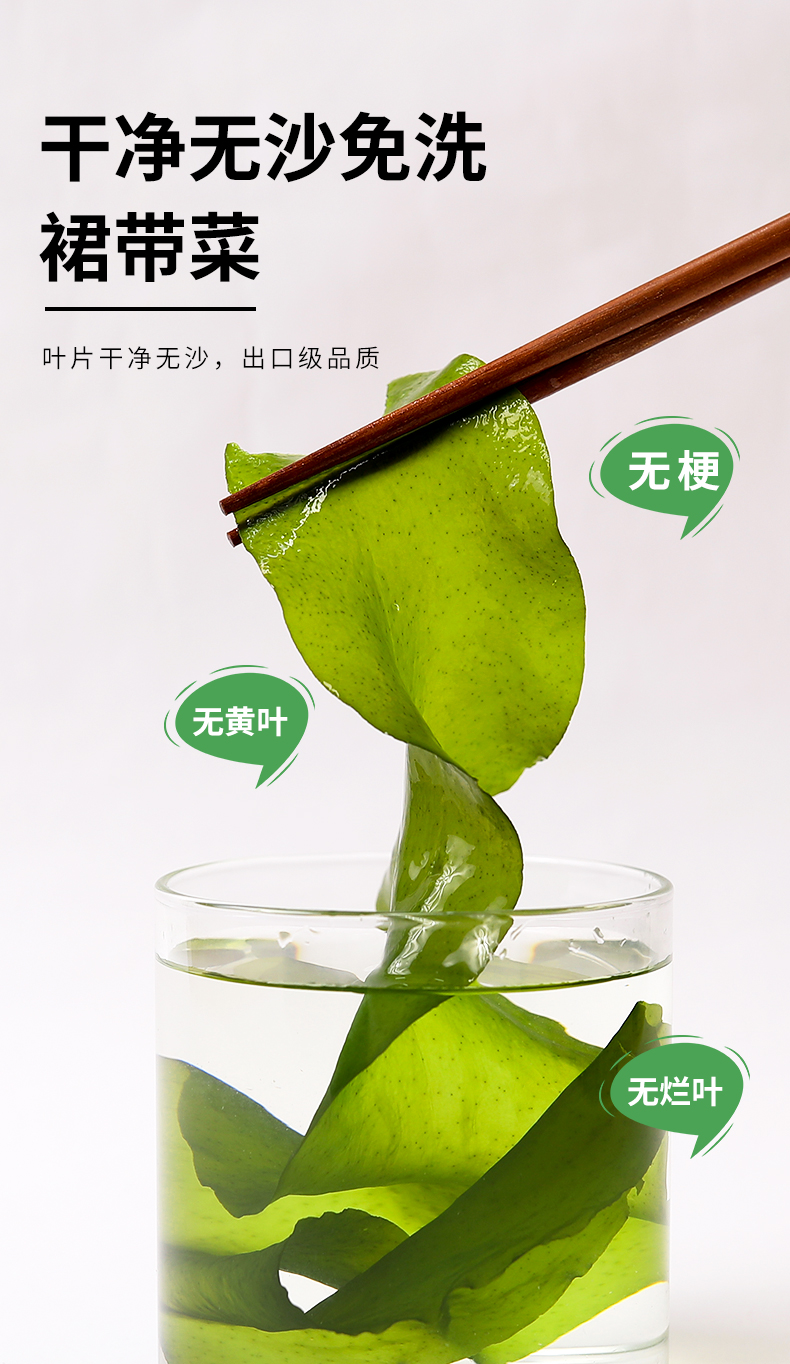 裙带菜1_07.jpg
