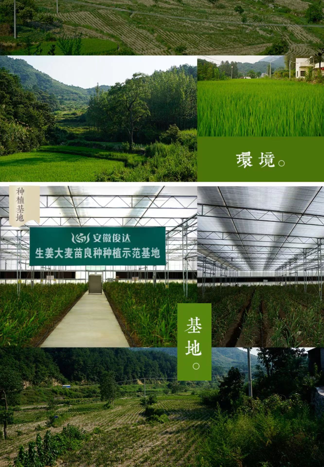 微信图片_202302131653327.jpg