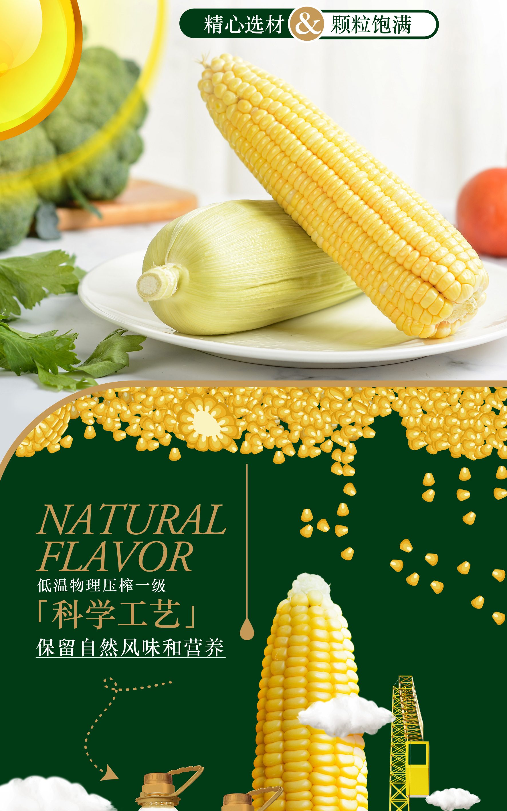 玉米胚芽油详情_03.jpg