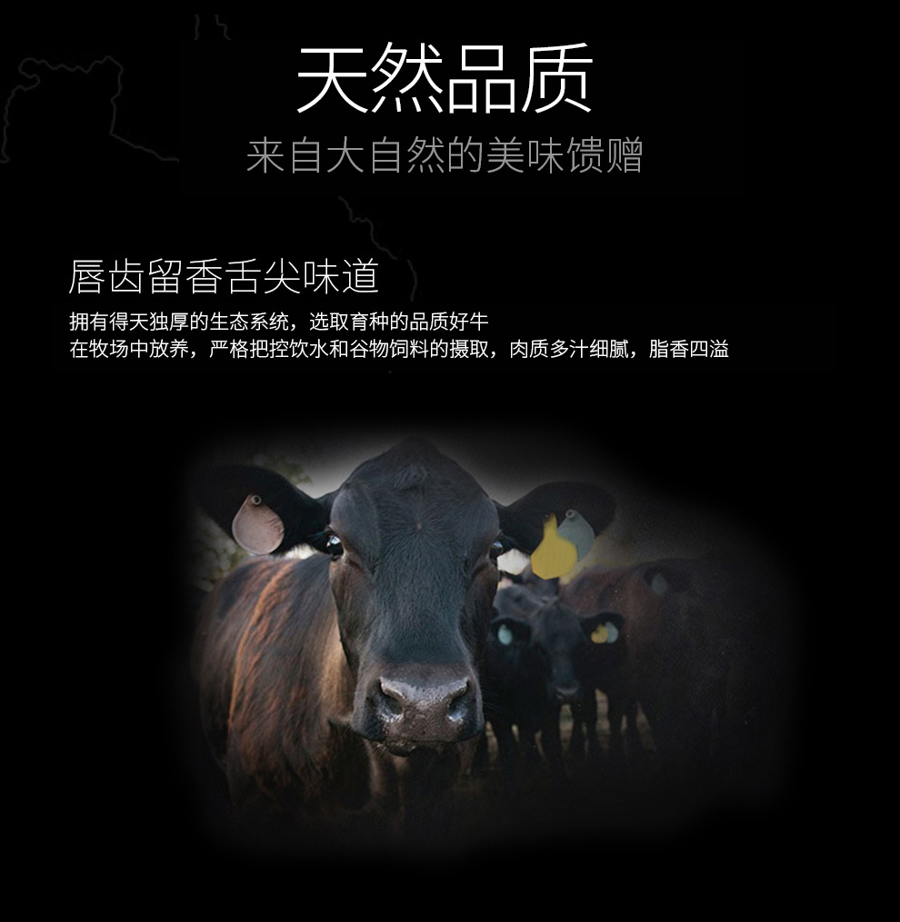 安古斯R1_05.jpg