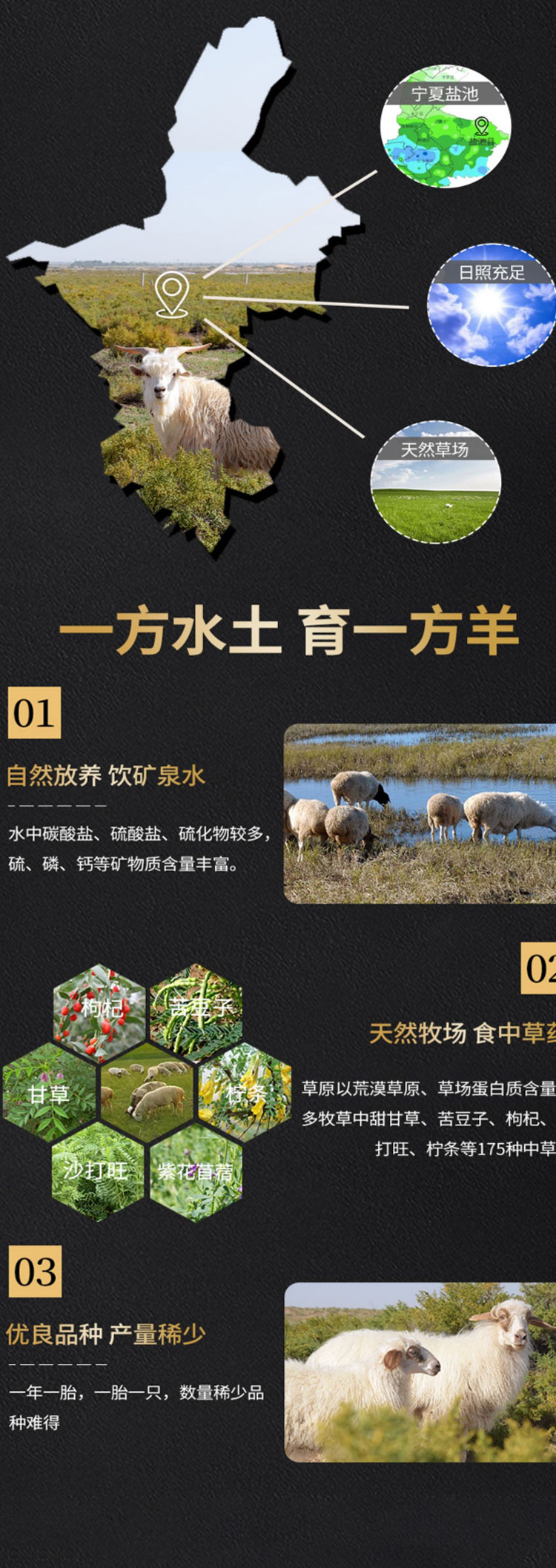 详情页_05.jpg