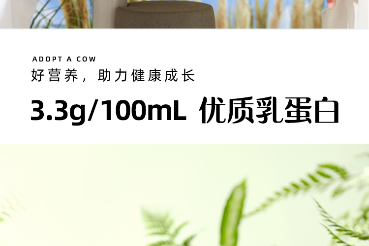 200ml绿纯-柳叶包_04.jpg