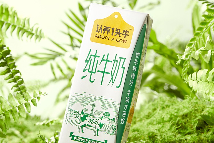 200ml绿纯-柳叶包_05.jpg