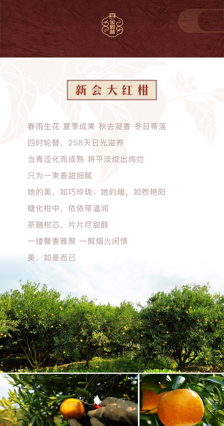 详-2.jpg