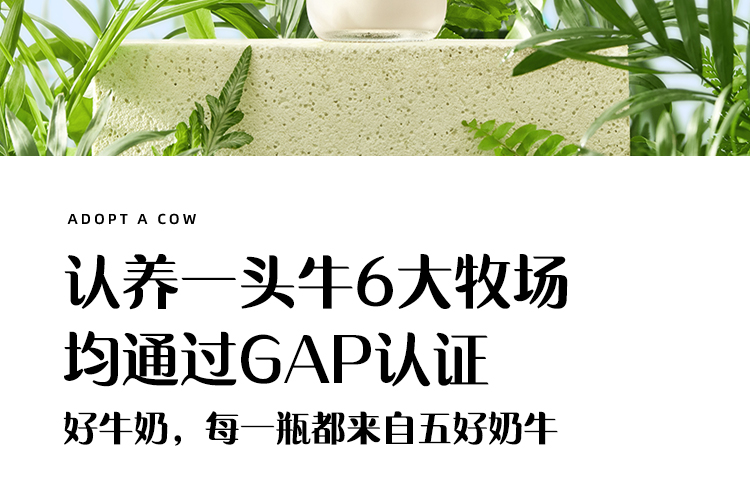 200ml绿纯-柳叶包_09.jpg