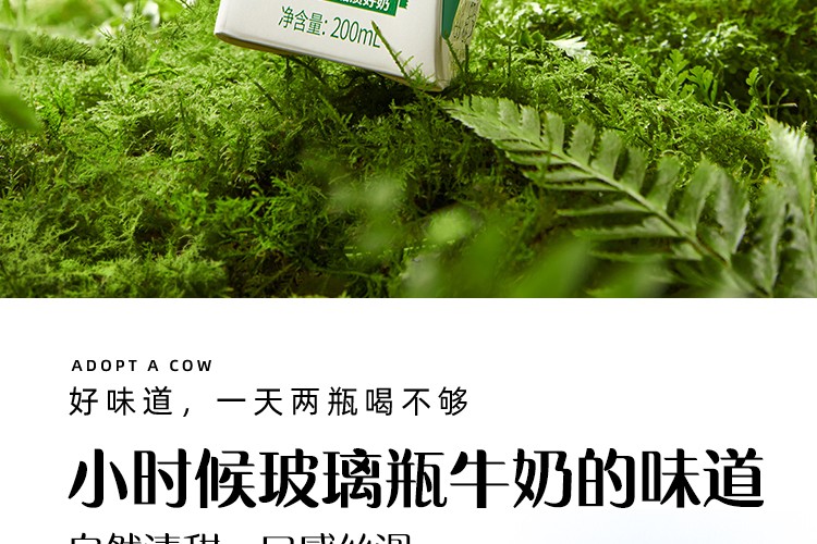 200ml绿纯-柳叶包_06.jpg