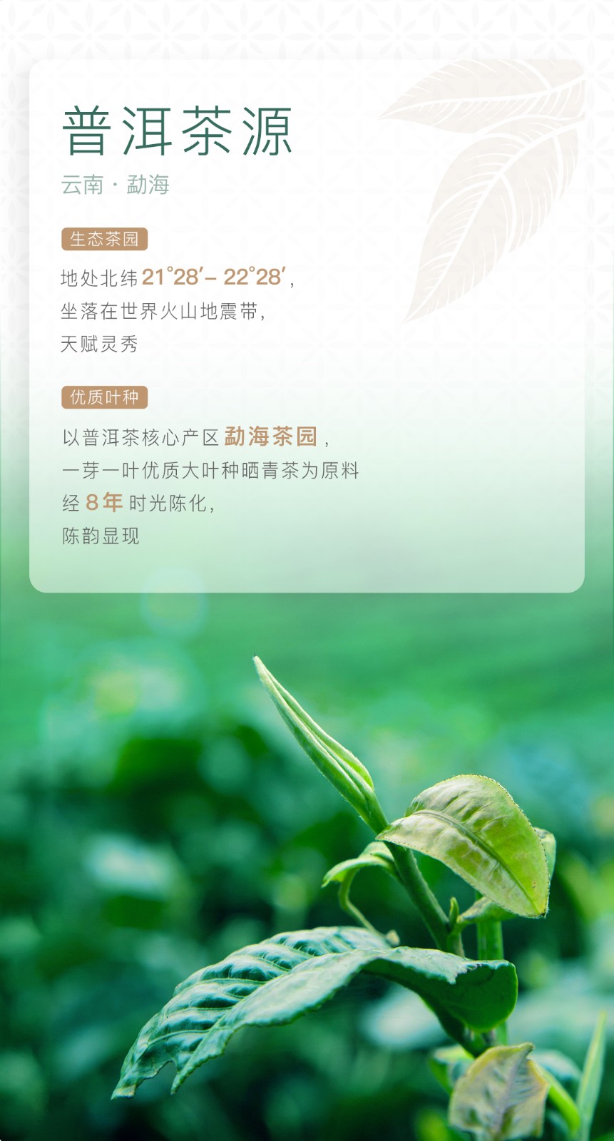 详-3.jpg