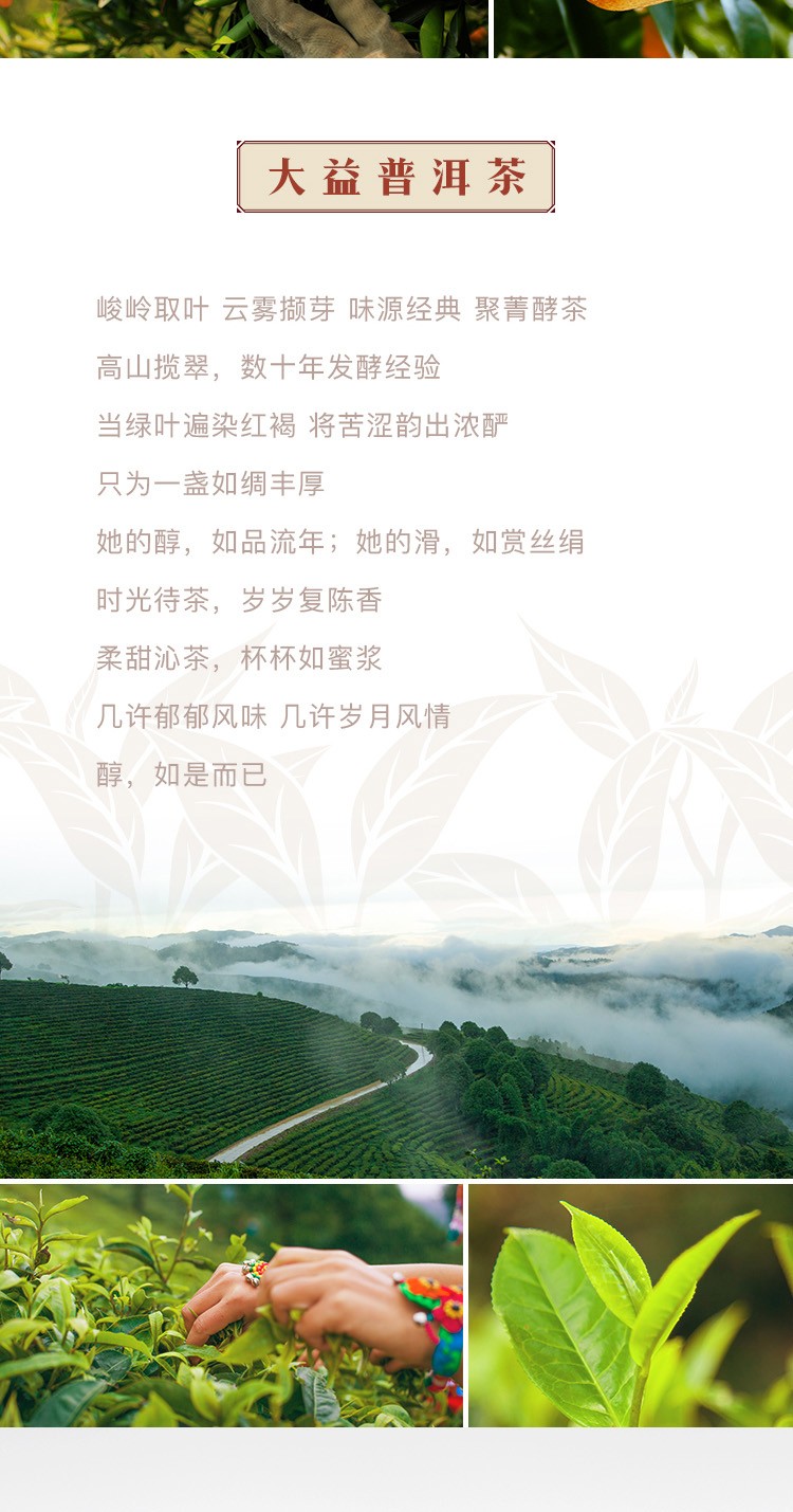详-3.jpg