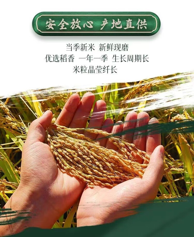 详情-01.jpg