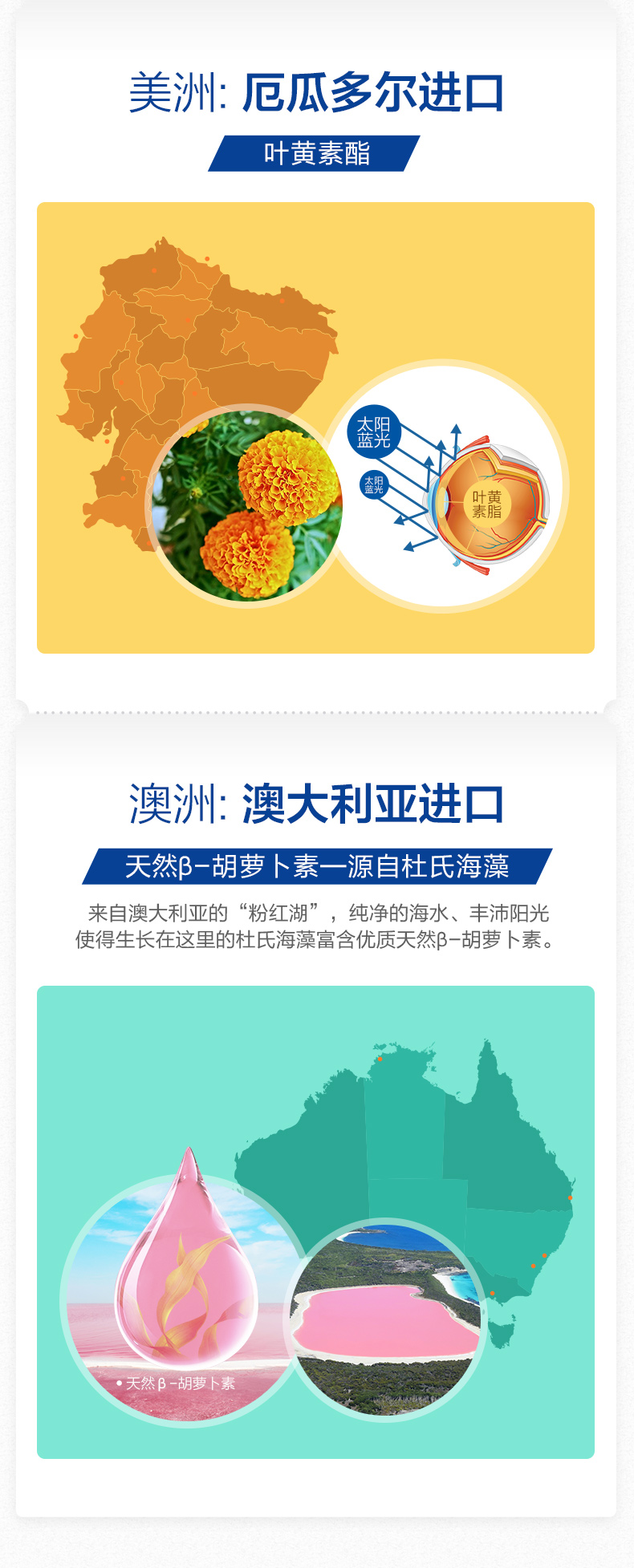 详情-06.jpg
