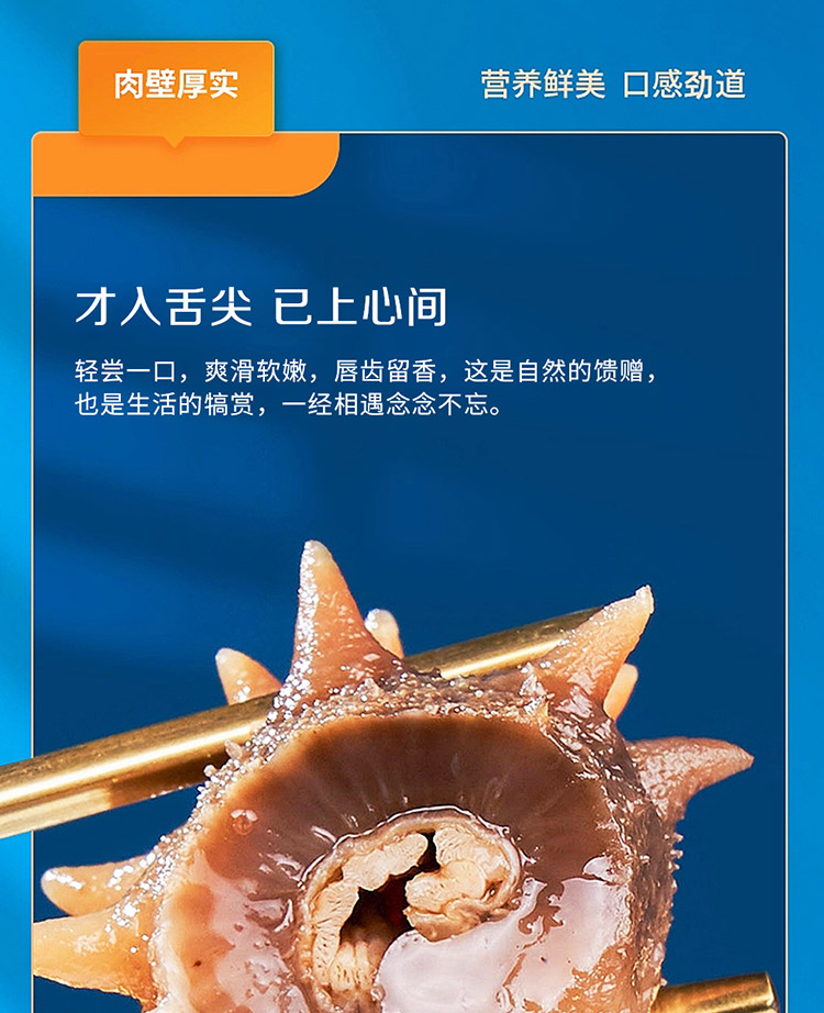 淡干海参-高价位_10.jpg