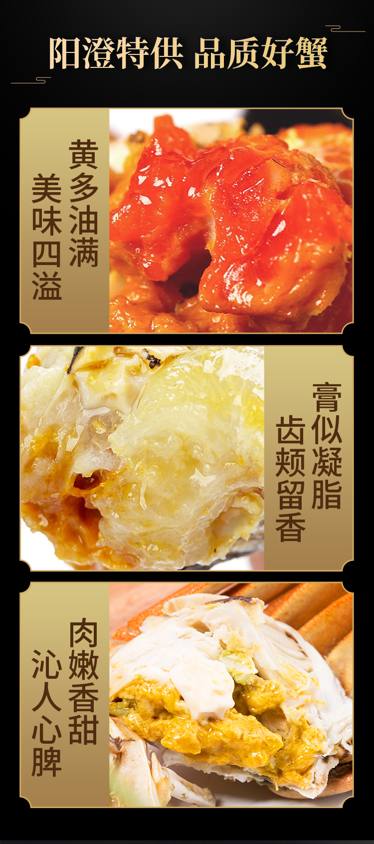 2023蟹太太阳澄特供-6980 (9).jpg