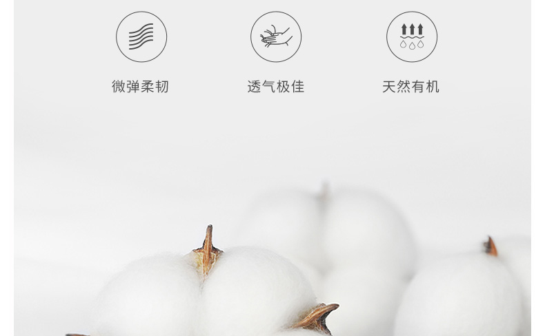南栀详情图_06.jpg
