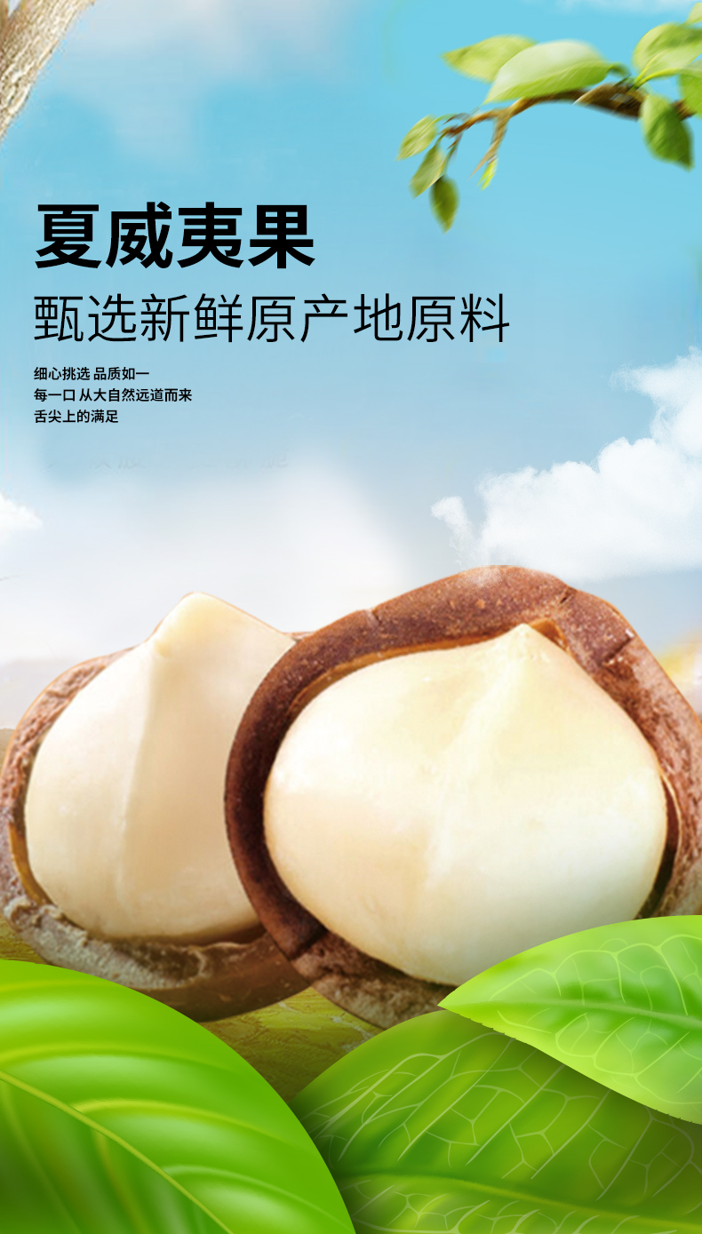 夏威夷果400g.500g.108g_01.jpg