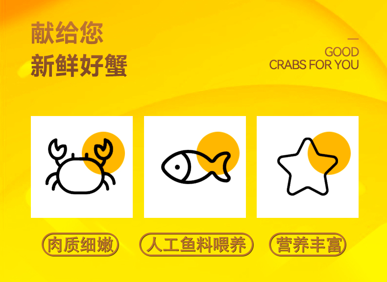 青蟹_02.jpg