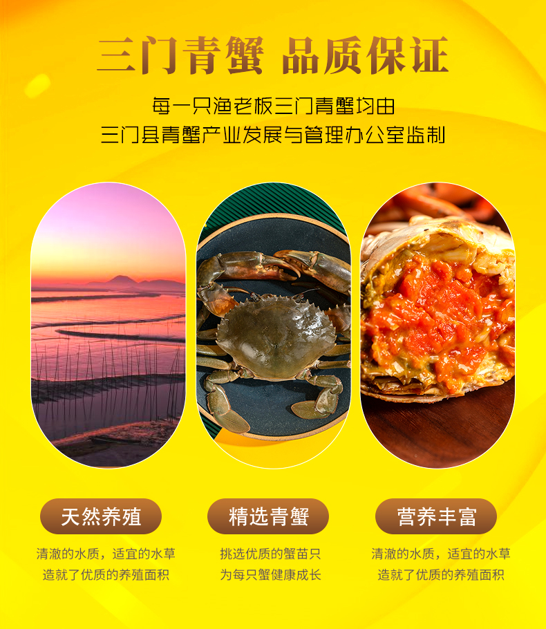 青蟹_04.jpg