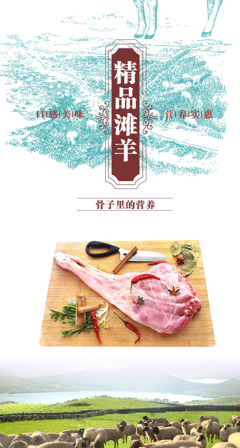 滩羊详情页898_03.jpg