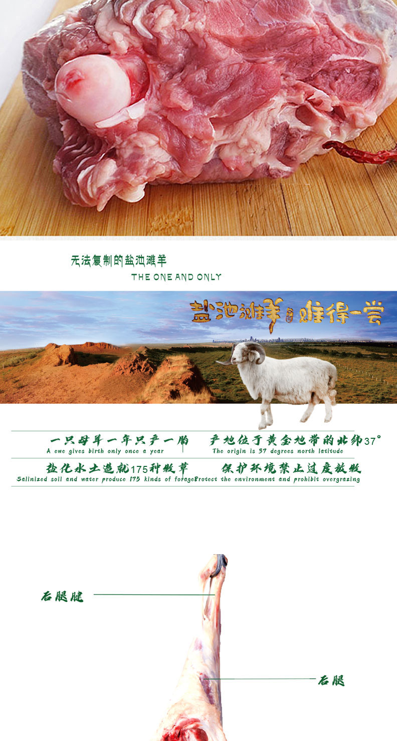 滩羊详情页398_05.jpg