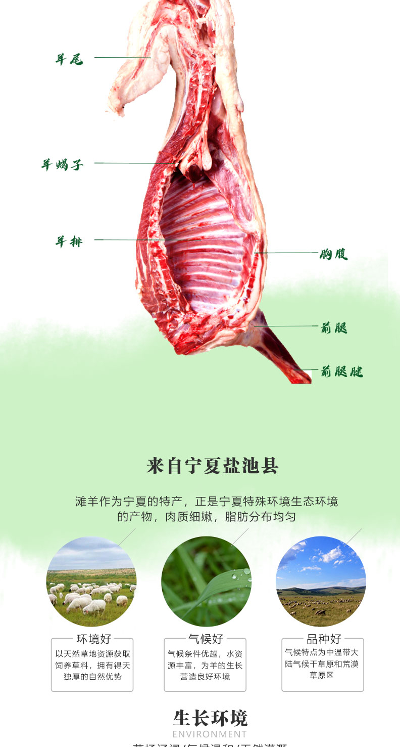 滩羊详情1598页_06.jpg