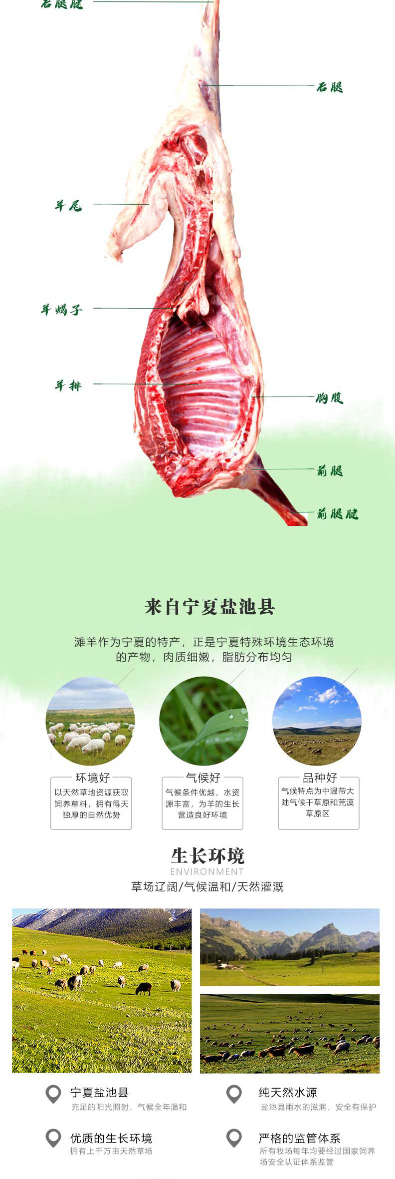 滩羊详情1998页_04.jpg