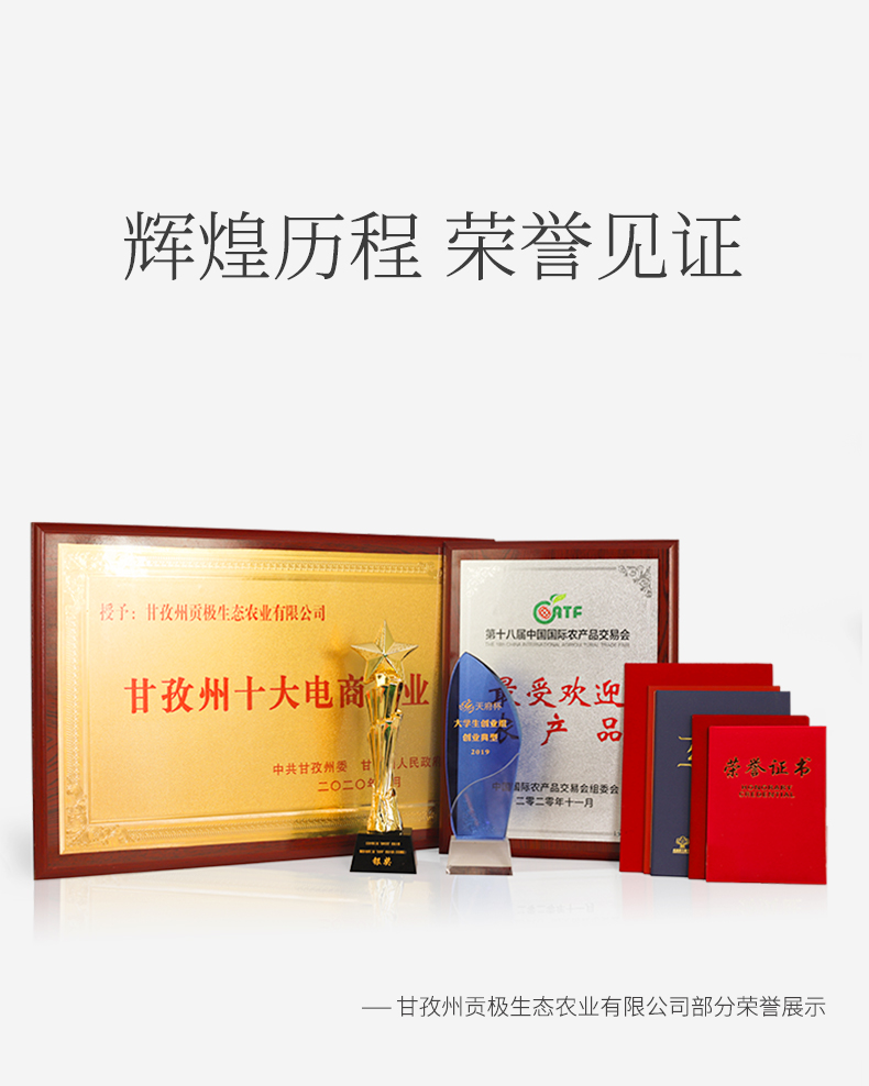 玉兔迎春_18.jpg