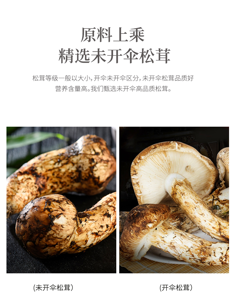 玉兔迎春_05.jpg